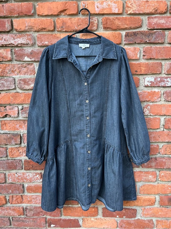 entro Dresses & Skirts - Entro Denim Button-Front Babydoll Dress Long Sleeve Cotton Blend M Gray Pockets